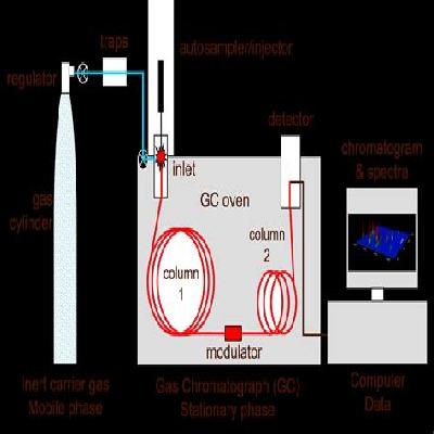 Gas Chromatograph