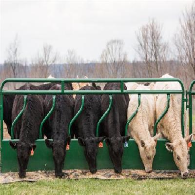 Feeder Panel