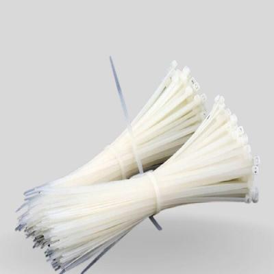Nylon Cable Tie
