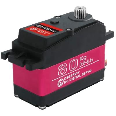 High Torque Servo Motor