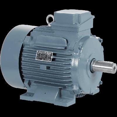 Havells Brake Motor