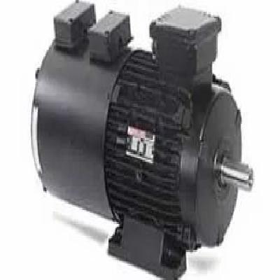 HAVELLS IE2 Efficiency TEFC Motor 3Ph