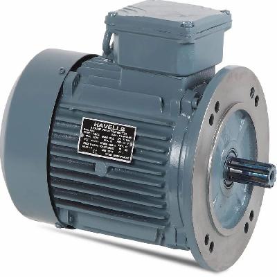 Havells Induction Motor