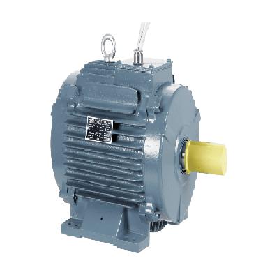 Havells TEFC Motor