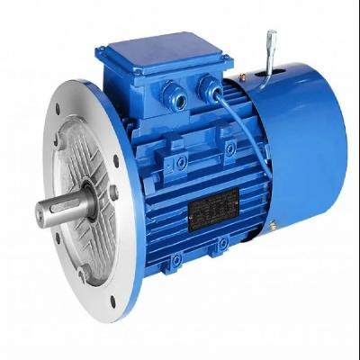 Crompton Greaves Brake Motor