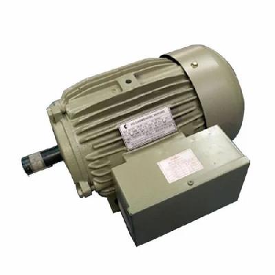 Crompton Greaves Wood Working Motor-2hp