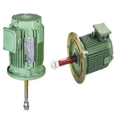 Hindustan Cooling Tower Motor