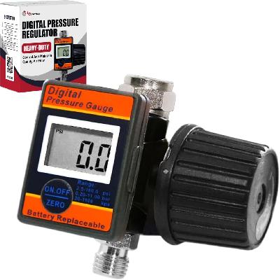 Digital Pressure Regulator