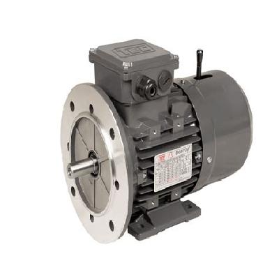 Electric Brake Motor