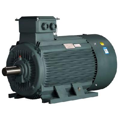 Electric Induction Motor