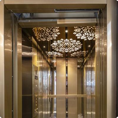 Passenger Elevator