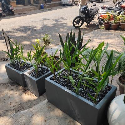 Black FRP Planters