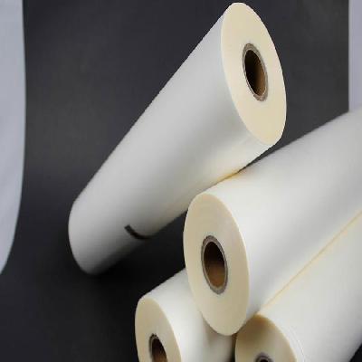 BOPP Laminated Paper