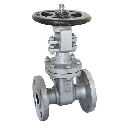 Cast Carbon Steel Valves