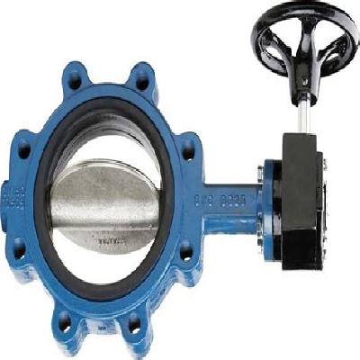 Real Butterfly Valves