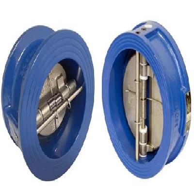 Real Wafer Check Valves