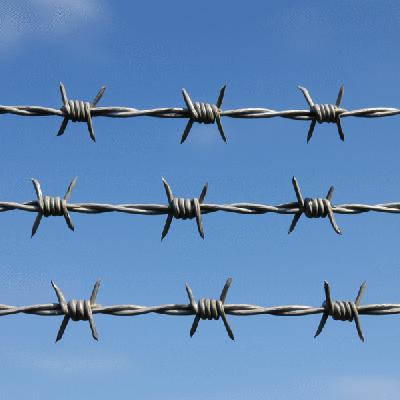 Barbed Wire