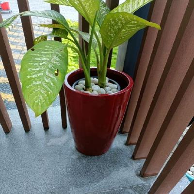 FRP Decorative Pot