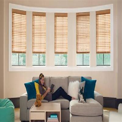 Interior Window Blinds