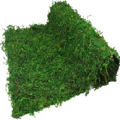 Preserved Grass Mat
