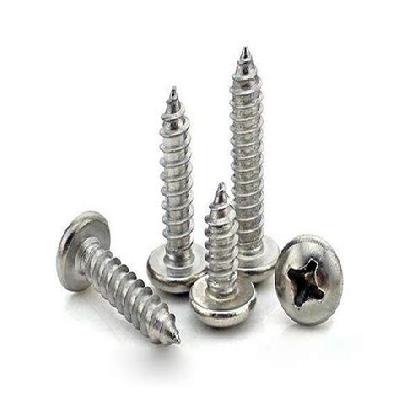 SS Screws