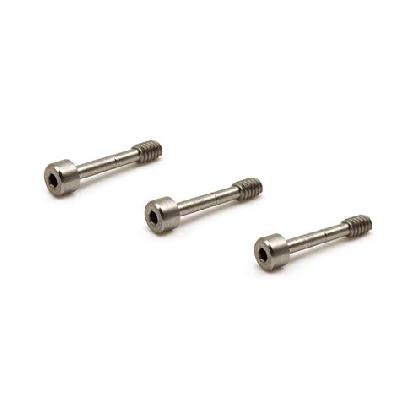SS Captive Screws