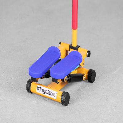 Kids Gym Stepper