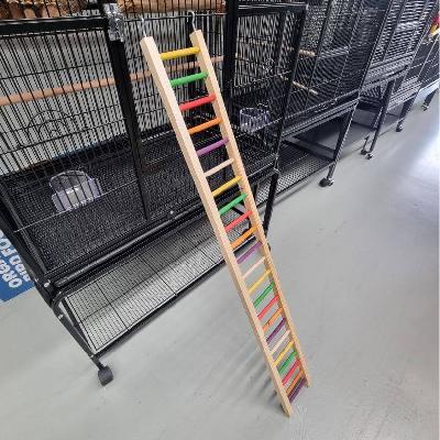 Rainbow Ladder