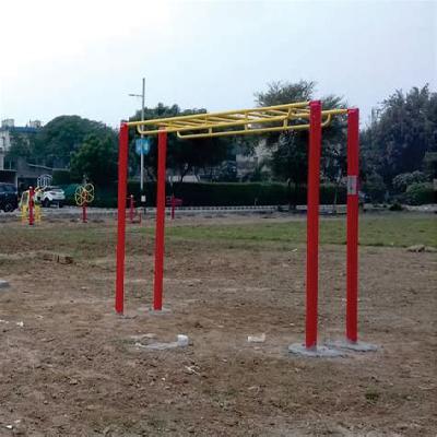 S Type Bridge Ladder