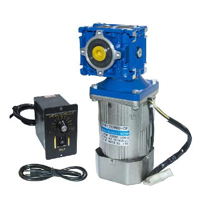 AC Worm Geared Motor