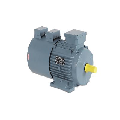 Havells Three Phase AC Motor
