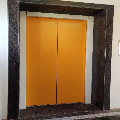 M.S. Auto Door