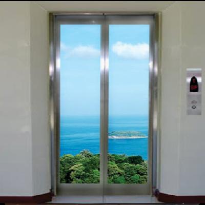 SS Small Vision Glass Door