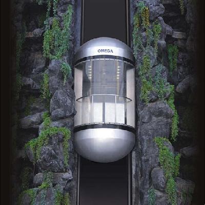 Hotels Passenger Capsule Elevators
