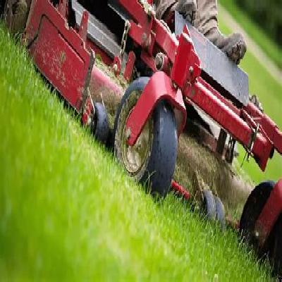 Garden Maintenance Service