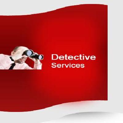 Investigation And Detective Security Service