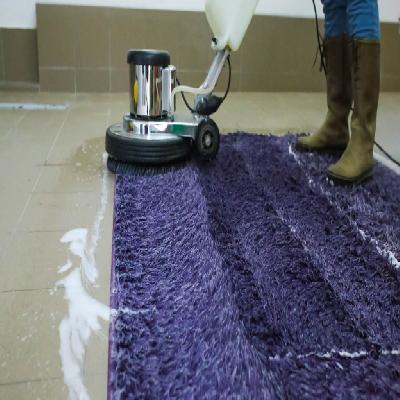 Carpet Shampooing