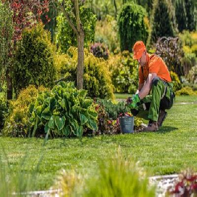 Home Gardening Service