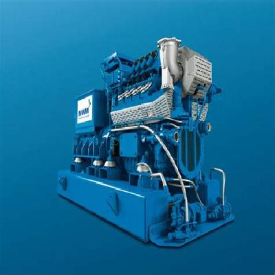 MWM TCG 3016 Gas Engine