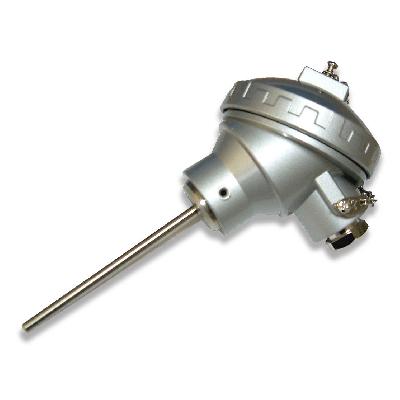 PT100 RTD Sensor