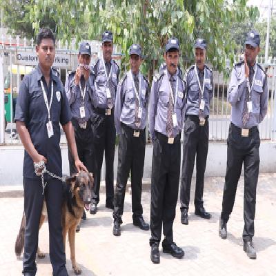 Dog Squad Security Services