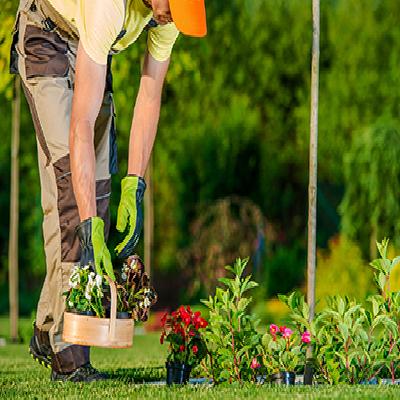 Gardening and Landscaping Service