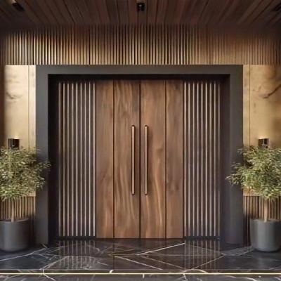 Stylish Main Entrance Door