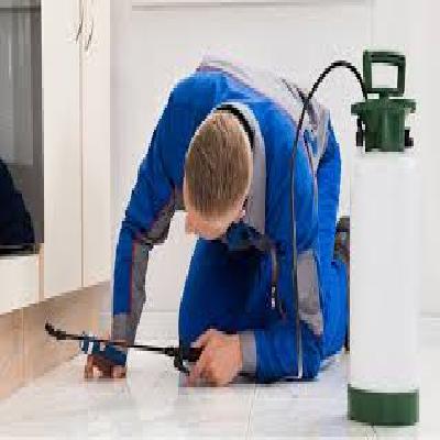 Pest Control Service
