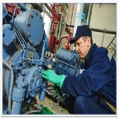 Diesel Generator Repairing Service