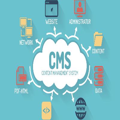 CMS Web Development Services