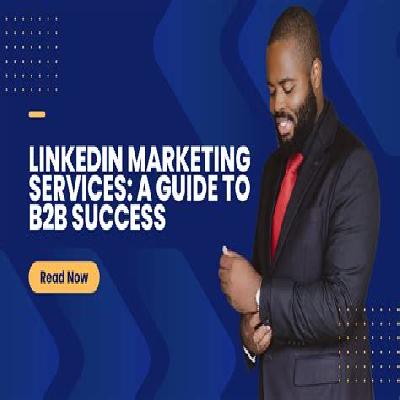 LinkedIn Marketing Service