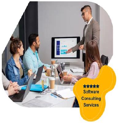 Software Consulting service