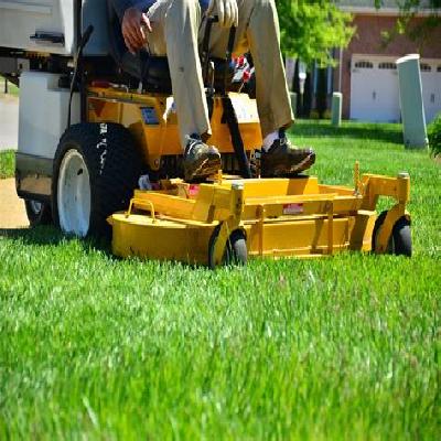 Lawn Maintenance Service