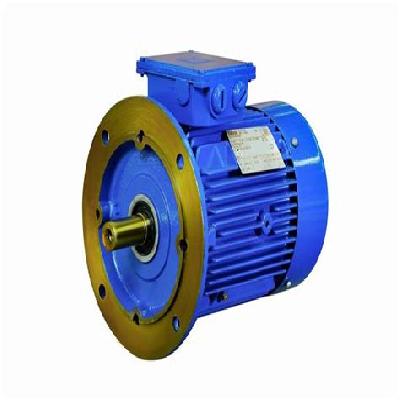 Crane Duty Foot Cum Flange Motor